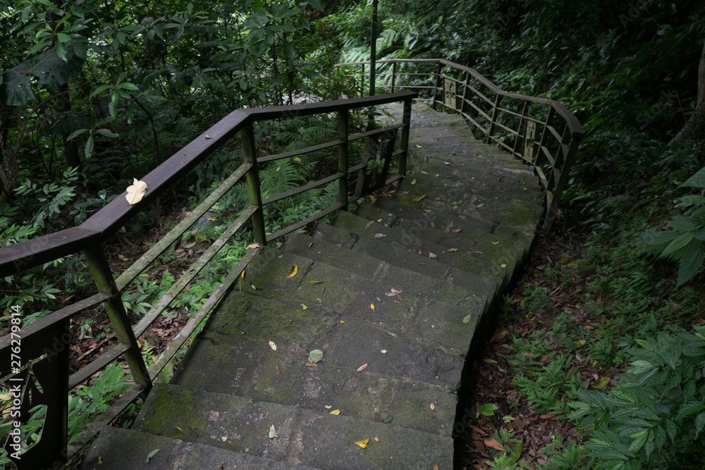A stone staircase in the dark forest