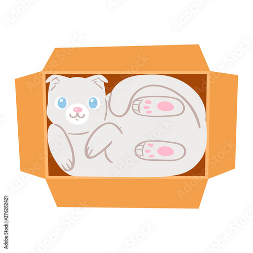 Cat in box vector kitty pet character domestic animal kitten in boxed gift illustration feline set of pussycat hidding in package isolated on white background