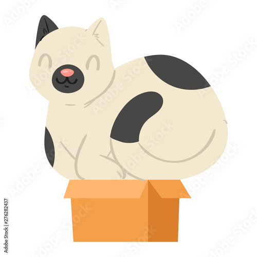 Cat in box vector kitty pet character domestic animal kitten in boxed gift illustration feline set of pussycat hidding in package isolated on white background