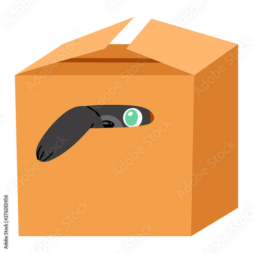 Cat in box vector kitty pet character domestic animal kitten in boxed gift illustration feline set of pussycat hidding in package isolated on white background