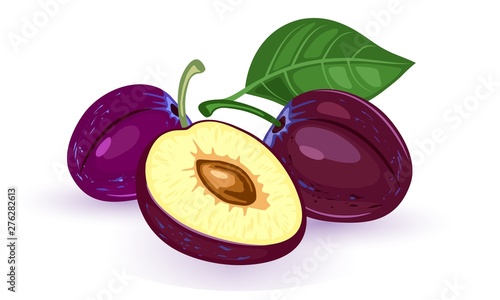 Vector image shows whole and cut ripe purple plums with brown pit and green leaf on white background