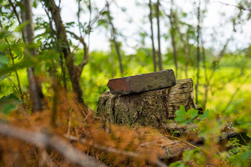 Handdoek met foto Huisarts Natuurtaferelen tussen weidse landerijen  © Matthias