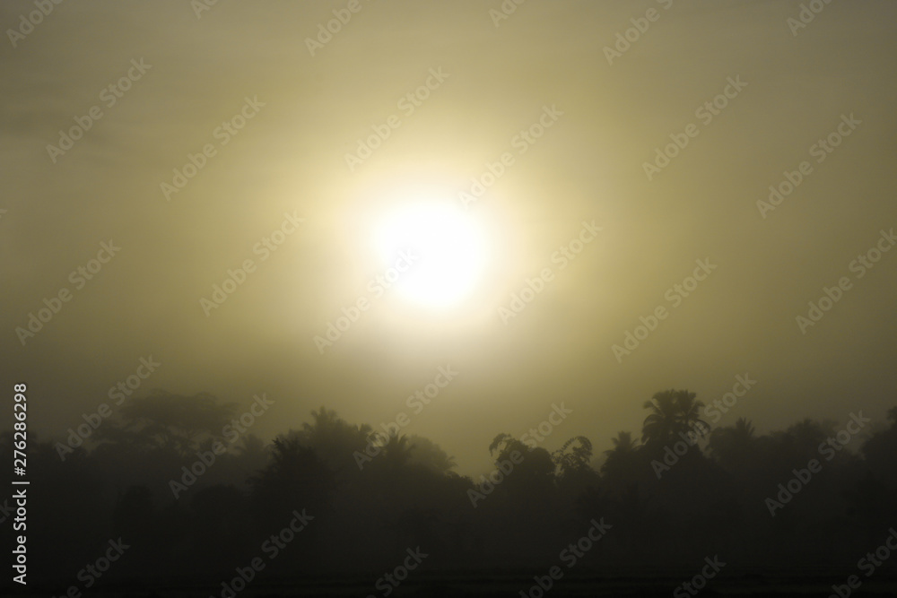 Obraz premium sunrise with the mist over the forest in the summer, Nature background with sunny beams, Sun rising above the forest