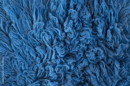 background texture of fur. blue color. blue fur