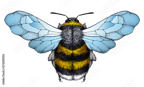 Honey bee tattoo. Dotwork tattoo. Symbol of diligence