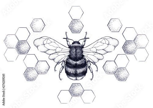 Honey bee surrounded by pattern of honeycombs