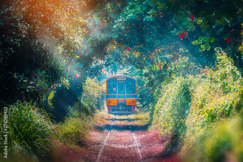 Train running in Natural tunnel trees. / Train running pass through natural tree tunnel on the railway at ,Bangkok,Thailand.