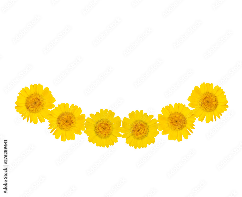Smile symbol from bright yellow flowers on a white isolated background. Summer mood. Close-up. Smile symbol from bright yellow flowers on a white isolated background. Summer mood. Close-up.