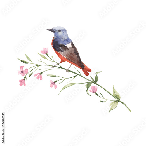 Watercolor bird on the flower photo