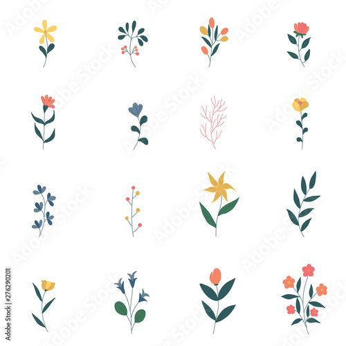 Collection of beautiful wild herbs, flowers hand drawn vector design