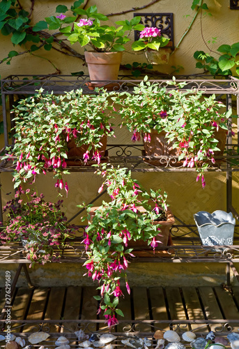 Wallpaper Mural Morgensonne im Schattengarten Torontodigital.ca