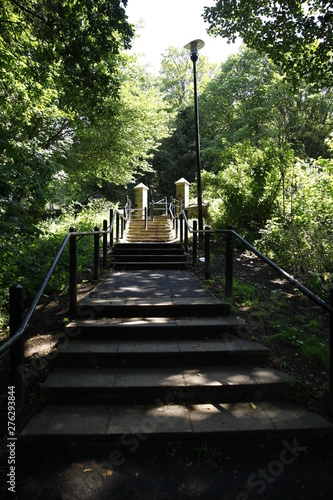 Walking through a sunlit woodland with dappled light.