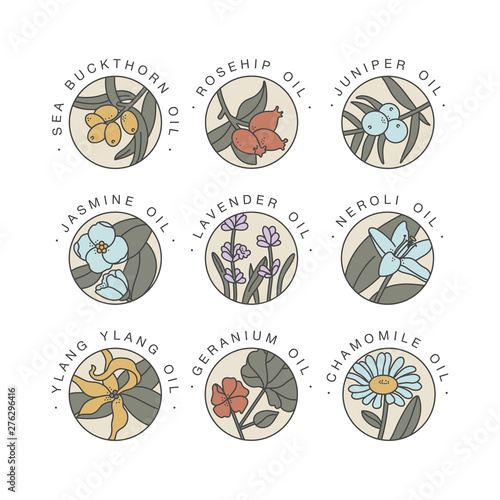 Vector set design templates and emblems - healthy and cosmetics oils. Different natural, organic oils. Logos in trendy linear style.
