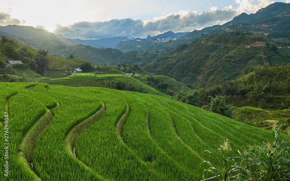 Rice fields on terraced of Mu Cang Chai, YenBai, Vietnam. Rice fields prepare the harvest at Northwest Vietnam.Vietnam landscapes. Rice fields on terraced of Mu Cang Chai, YenBai, Vietnam. Rice fields prepare the harvest at Northwest Vietnam.Vietnam landscapes.