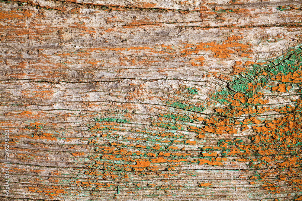 Obraz premium wood texture old tree with paint elements