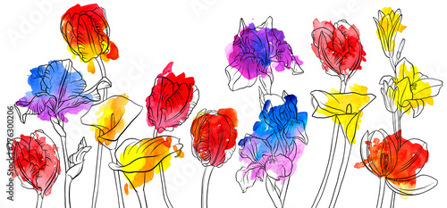 vector drawing flowers © cat_arch_angel