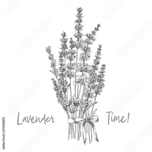 Bouquet of hand drawn sketch of Lavender flower and cute bows isolated on white background. France provence retro pattern for romantic fresh design concept. Natural lavander