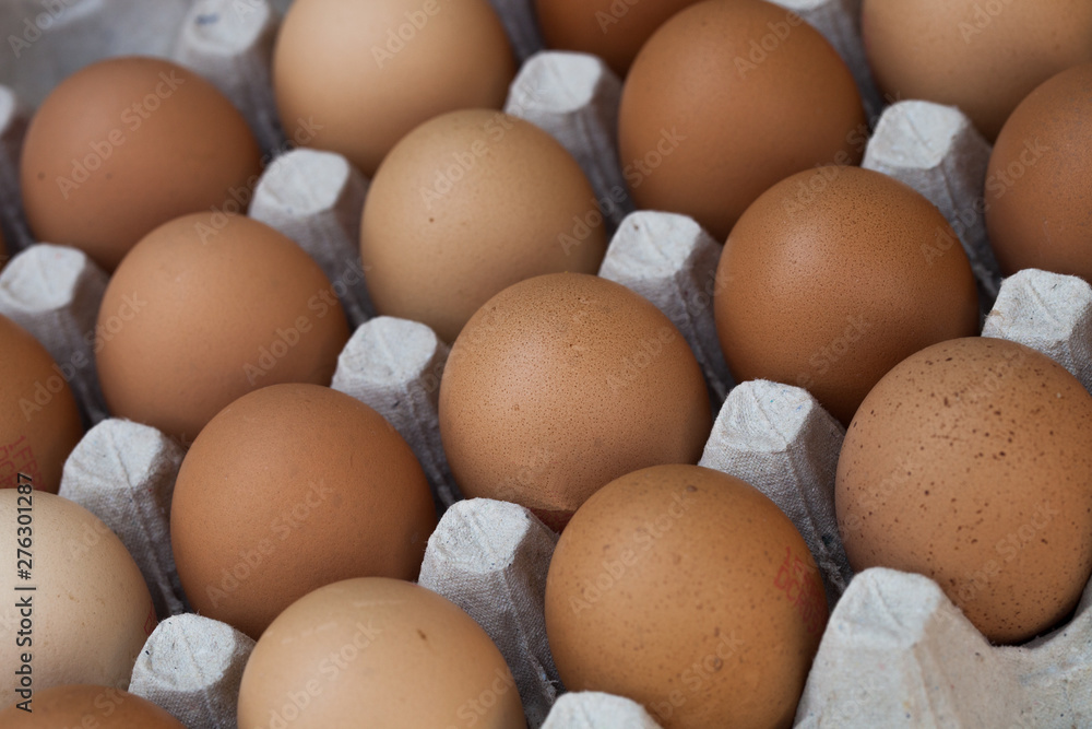 Oeufs à vendre Oeufs à vendre