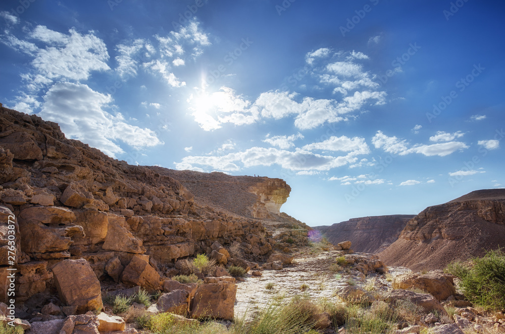 Fototapeta premium desert rocks and blue sky view