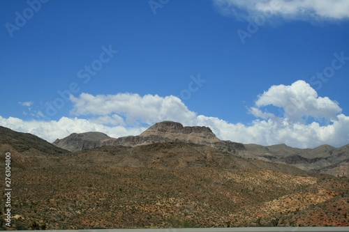 USA. Grey mountains Nevada  and desert plant