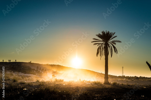 Desert activities in Tunisia