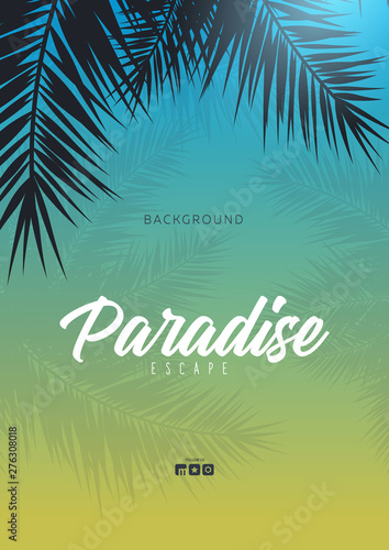 Summer Tropical palm leaves. Exotic palms tree. Floral Background.