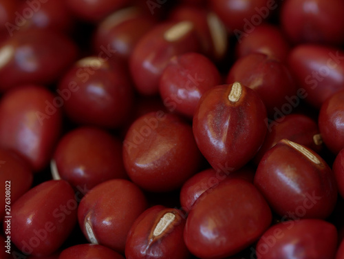 Close-up of Adzuki Beans, Vigna angularis, Selected Focus Food Background