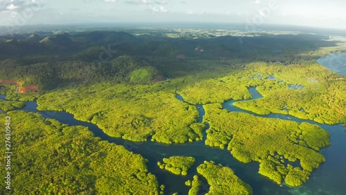 Aerial Top View of Amazon rainforest and river in Brazil photo