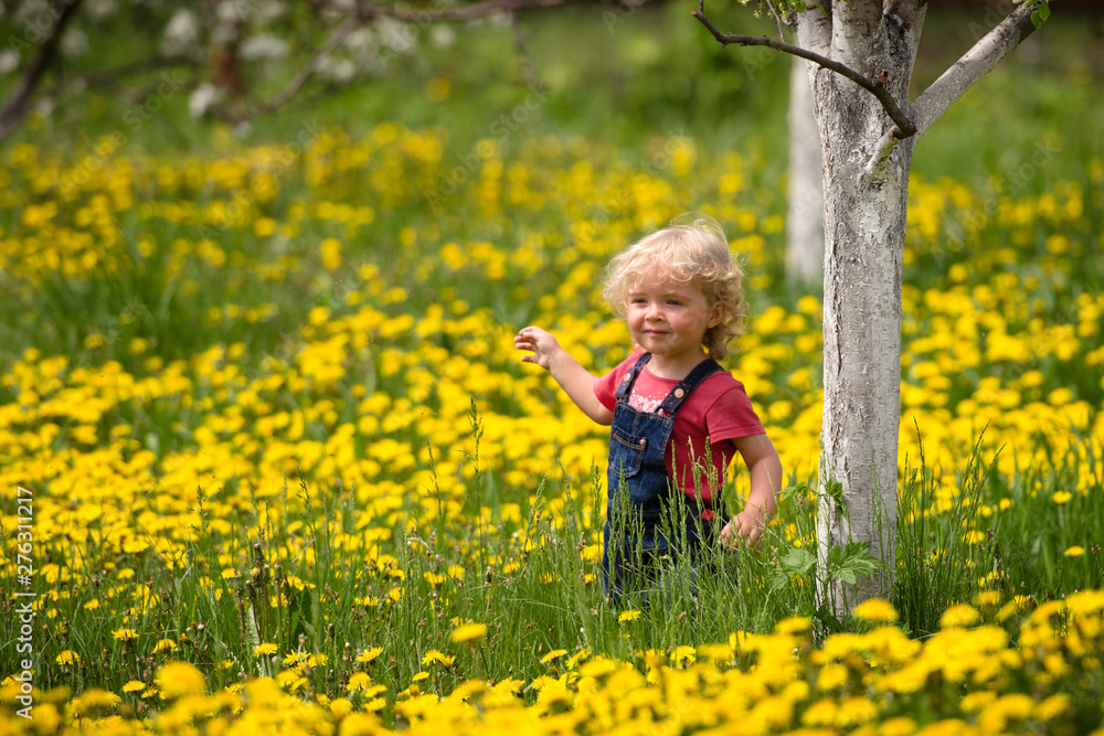 girl walking in a clearing among the flowers girl walking in a clearing among the flowers