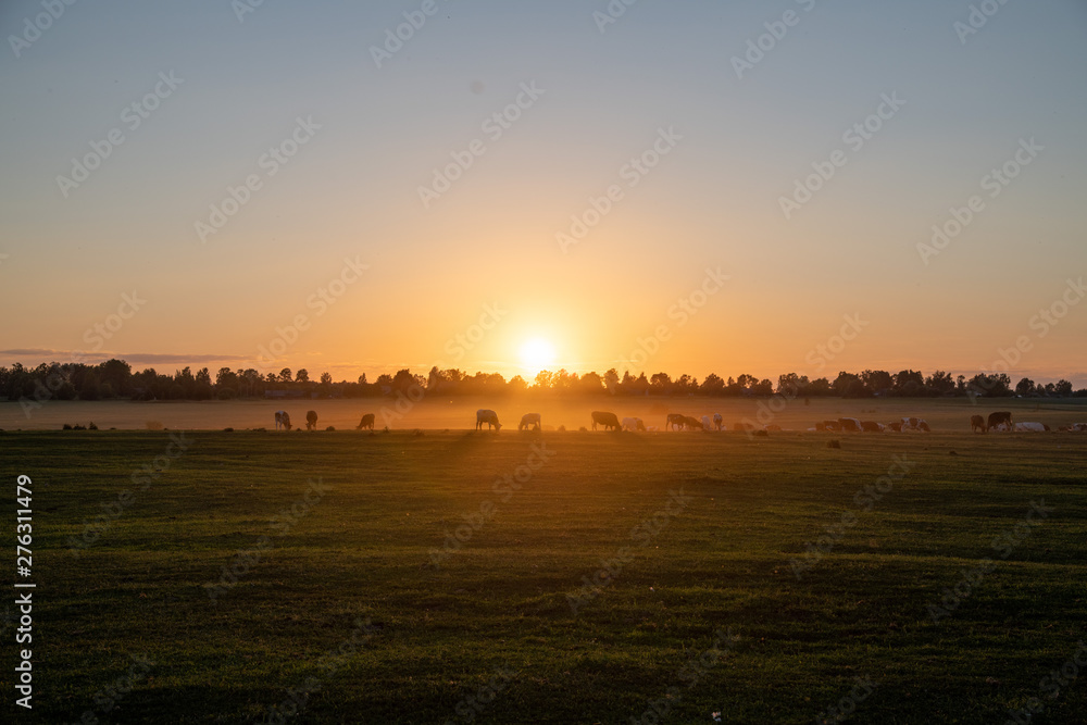 sunset over country fields
