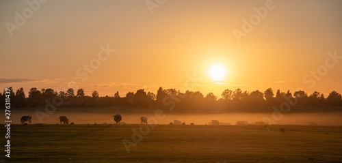 sunset over country fields