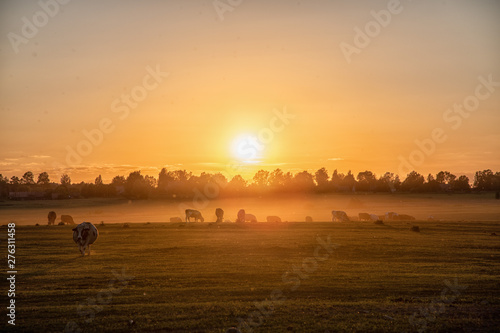 sunset over country fields