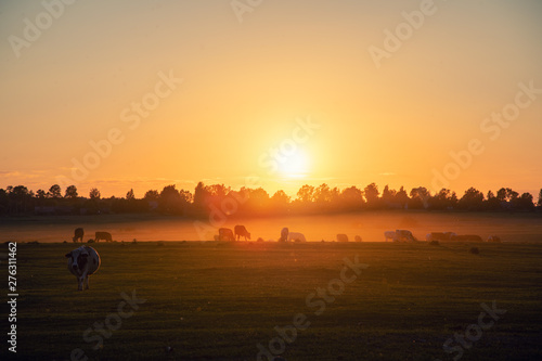 sunset over country fields © Daiva
