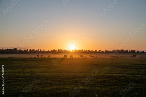 sunset over country fields