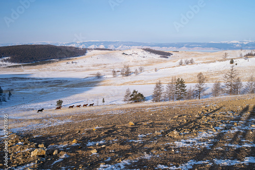 Beautiful landscape of Olkhon in winter season in a morning  Siberia  Russia