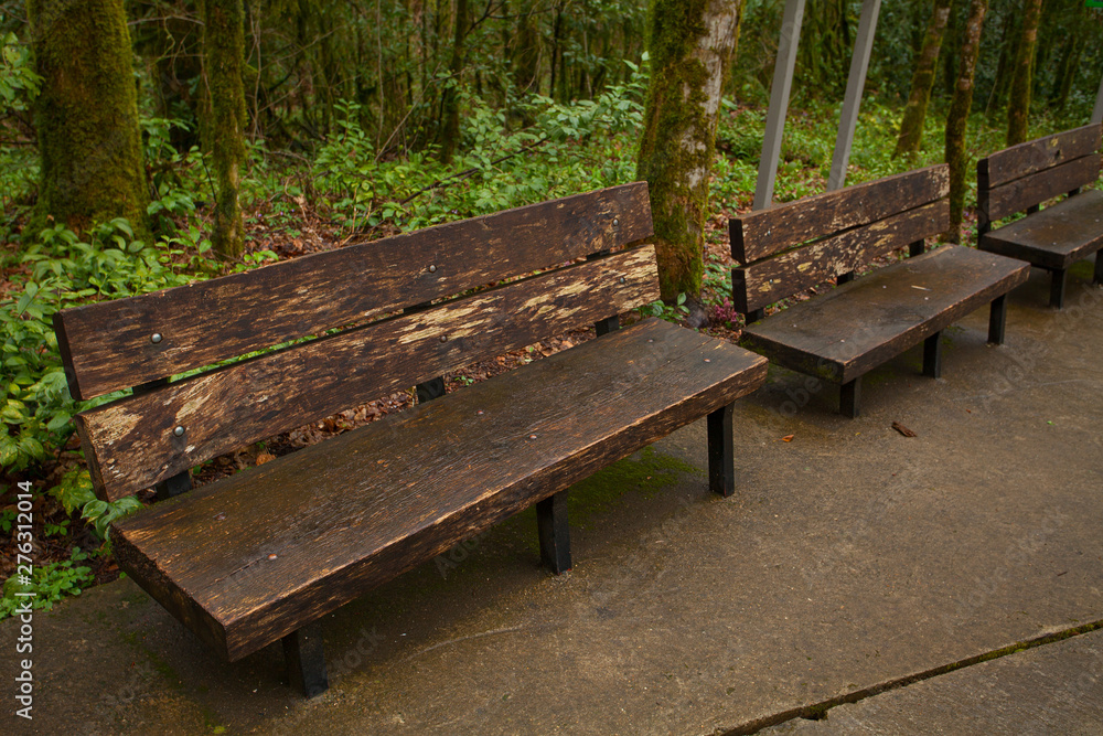 wooden bench in a public park in spring at sunset wooden bench in a public park in spring at sunset