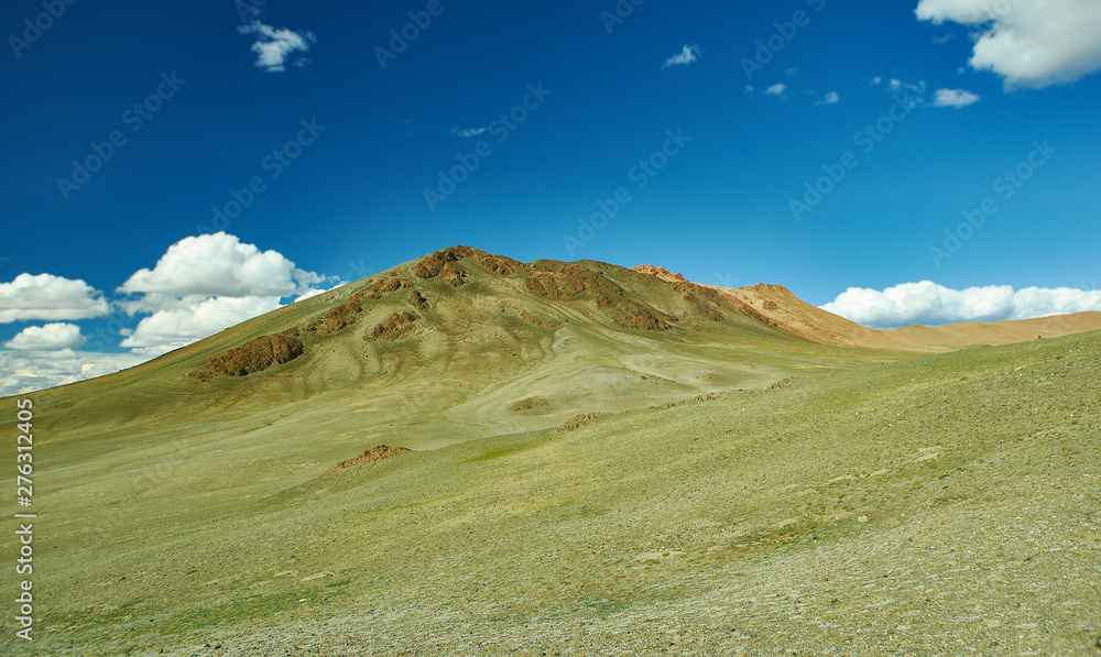 Mongolian Altai.  Scenic valley on the background of the snowcapped mountains.