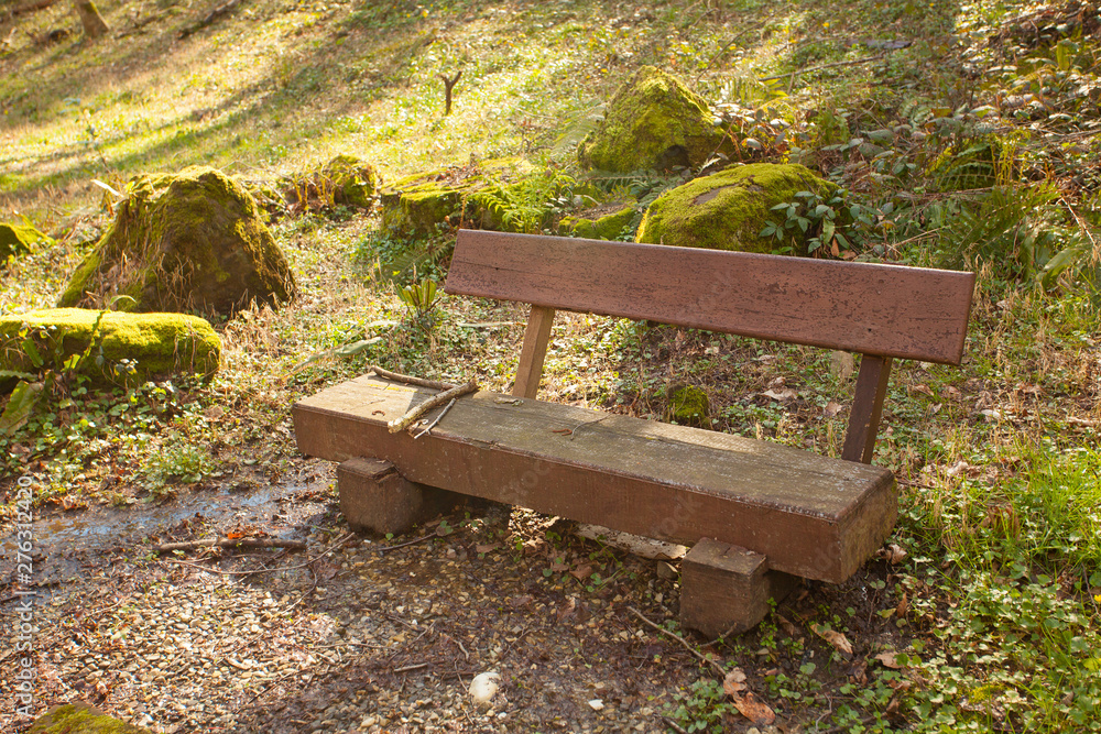 wooden bench in a public park in spring at sunset wooden bench in a public park in spring at sunset