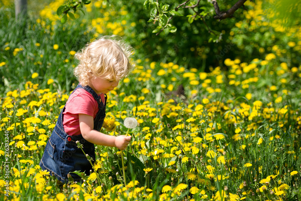 girl walking in a clearing among the flowers girl walking in a clearing among the flowers