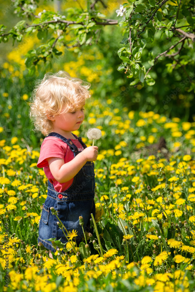 girl walking in a clearing among the flowers girl walking in a clearing among the flowers