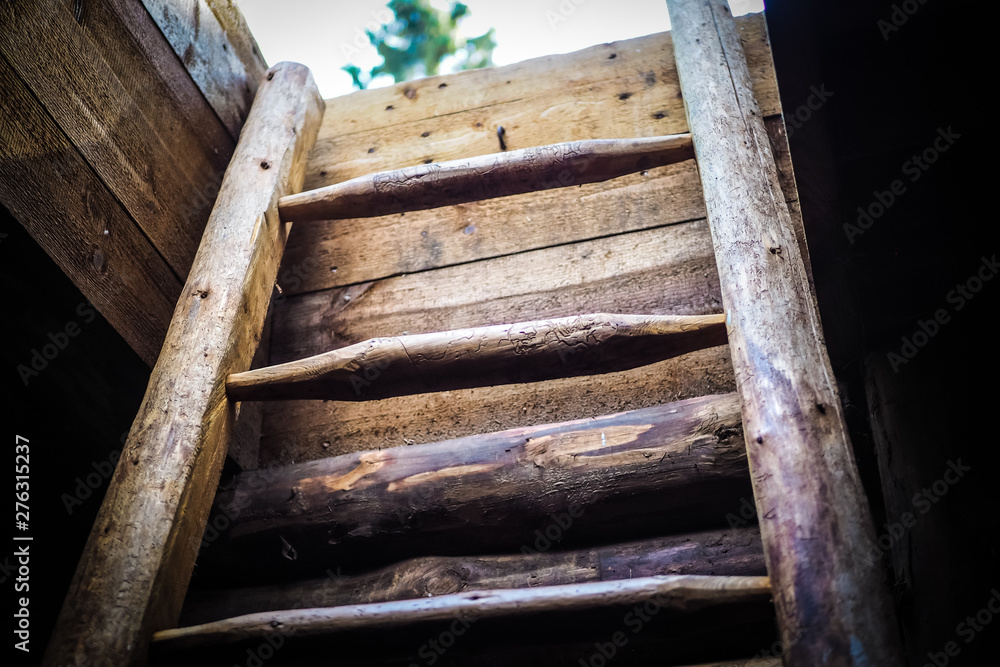 Wooden stairs out of the bunker/basement Wooden stairs out of the bunker/basement