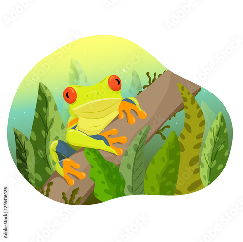 Hand drawn vector illustration of a cute exotical frog sitting on branch. Tropical plants. Isolated on white background. Poster or t-shirt design.