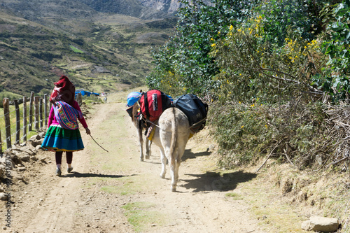 a local muleskinner or arriero transporting climbing equipment to base camp in the Cordillera Blanca in the Andes of Peru