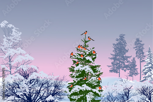 red bullfinches in winter forest illustration