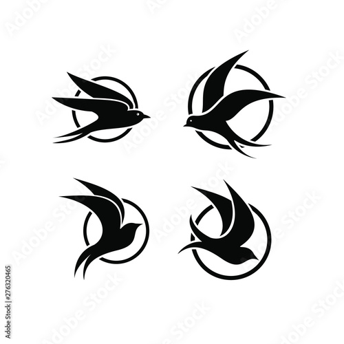 swallow bird logo icon designs vector