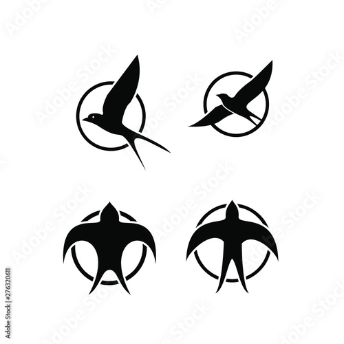 swallow bird logo icon designs vector