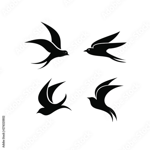 swallow bird logo icon designs vector