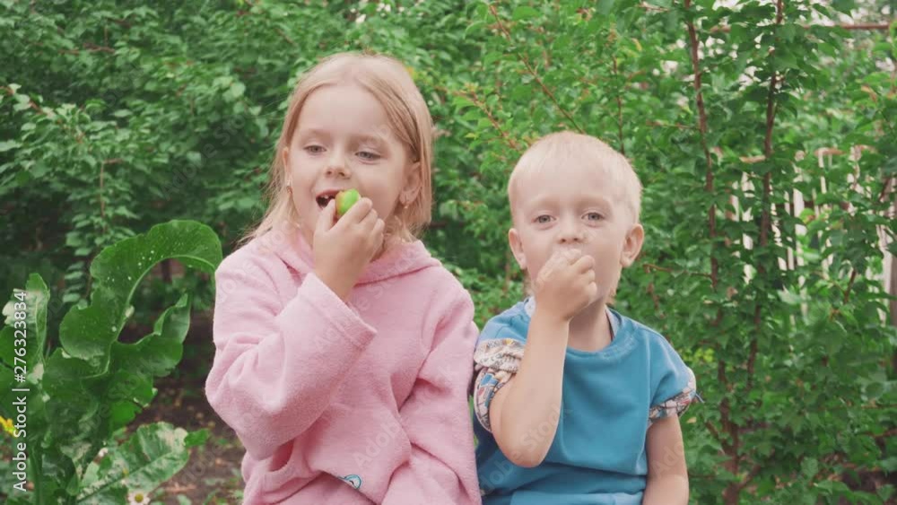 children eat fresh berries in the garden in summer children eat fresh berries in the garden in summer