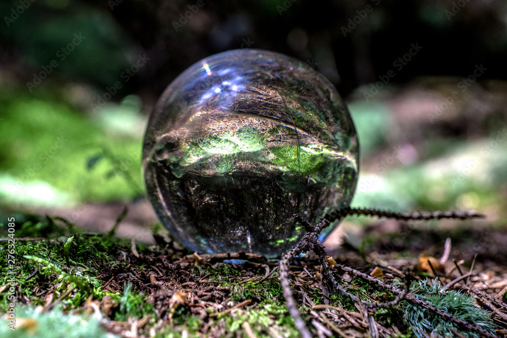Carpathian forest in a crystal ball Carpathian forest in a crystal ball