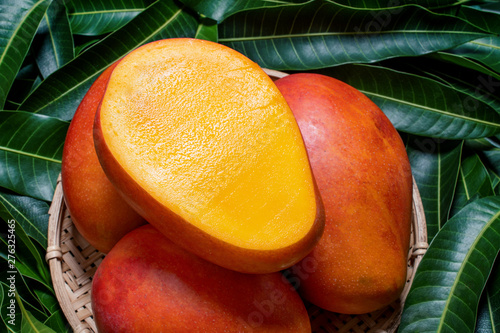 Fresh juicy beautiful mango fruit in bamboo wooden basket on green background by leaves, close up, macro, copy space. Tropical summer harvest concept photo